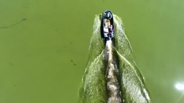 Close-up view of the boat swimming along the green water covered with moss. The result of ecological disaster in Amazon River. — Stock Video