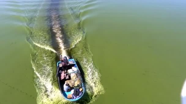 Mannen tar av sig mössan och vinkar medan han simmar längs Amazonfloden med grönt vatten täckt med mossa. Kopparvy. — Stockvideo