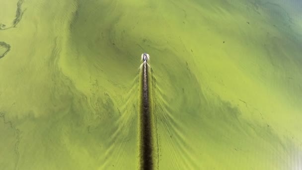Лодка плывет по зеленой загрязненной воде, покрытой мхом. Путешествие по реке Амазон в Южной Африке. Результаты после экологической катастрофы. Вид с коптера. — стоковое видео