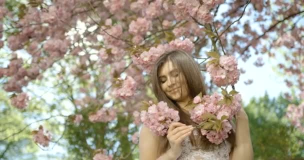 Mulher sensível atraente nova com sorriso encantador e maquiagem natural está tocando os ramos cobertos com sakura florescente. Filmagem 4k. — Vídeo de Stock