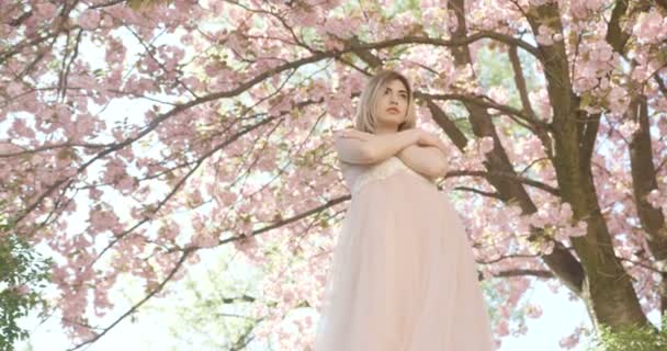 Érzékeny vonzó szőke lány világos rózsaszín ruhában pózol a háttérben a gyönyörű virágzó sakura fa. 4k felvétel. — Stock videók