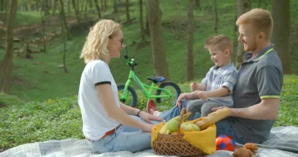 Beautiful happy fabily is having fun on a picnic in forest. The mother is giving high five to her smiling little son. 4k footage. — Stock Video