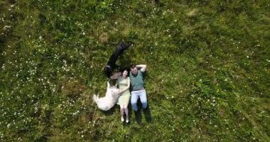 Çayırda uzanan ve iki sevimli köpeği okşayan mutlu çiftin manzarası. Yakışıklı adam sevgilisini kafasından öpüyor. 4k görüntü.