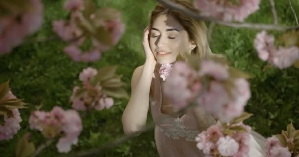 Chica rubia tierna con los ojos cerrados está acariciando su cara con la mano y flores de sakura en el prado. Vista superior a través del cerezo en flor. Imágenes de 4k. — Vídeos de Stock