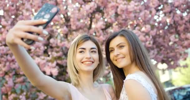 Két boldog mosolygós barátnő szelfit készít a virágzó szakurakertben lévő mobiltelefonon keresztül. 4k felvétel. — Stock videók