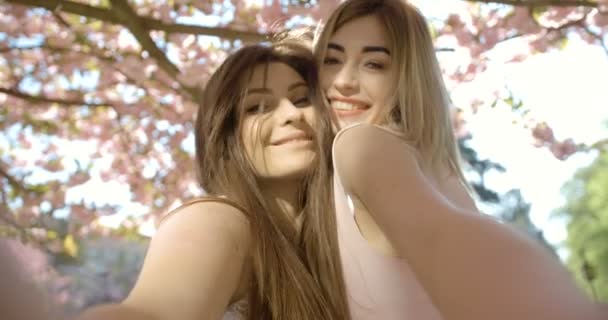 Retrato de las encantadoras amigas rubias y morenas con una bonita sonrisa abrazándose y tomando selfies en el floreciente jardín de sakura. Imágenes de 4k. — Vídeos de Stock