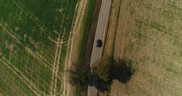 Vuelo superior del drone sobre el coche negro que conduce a lo largo de la carretera estrecha en campo dorado y verde encantador en alemán. Imágenes de 4k. — Vídeos de Stock