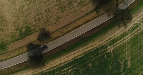 Vuelo aéreo en helicóptero sobre coche negro conduciendo a lo largo de la carretera en el campo dorado cubierto de árboles verdes en Alemania. La vista superior de la naturaleza. Imágenes de 4k. — Vídeo de stock