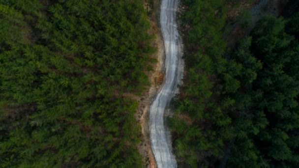Sobre la vista. Copter en movimiento a lo largo de la estrecha senda en las montañas de Tauro cubiertas de espeso bosque. 4k. Alanya, Turquía. — Vídeos de Stock