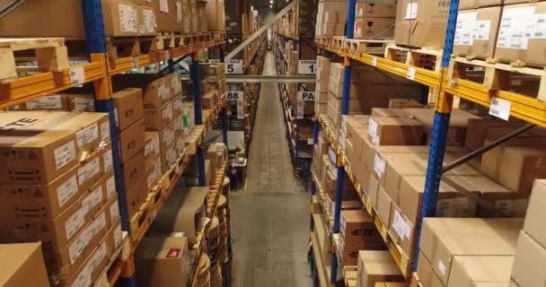 Rastrelliere coperte di scatole di carta nel magazzino nella fabbrica di cavi elettrici per auto, cablaggio e altre attrezzature di produzione. 4k filmati. — Video Stock