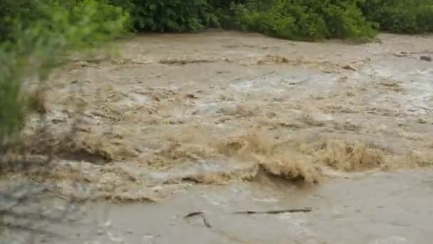 Inondation dans les Carpates due à la pluie. Forte circulation d'eau sale. Arbres brisés par les inondations — Video