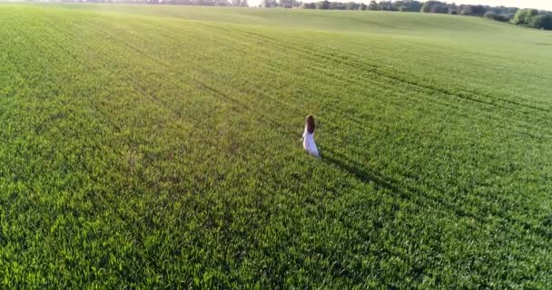 Člověk a příroda. Letecký pohled na ženu, v bílých šatech s dlouhé tmavě hnědé vlasy, kráčející po zelené louce towars světla letní slunce. 4k. Rychlý a pomalý pohyb — Stock video