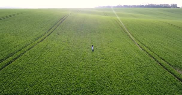 Mens en natuur. Luchtfoto op vrouw in witte jurk met lang brunette haar lopen over het groene veld towars de lichten van de zomerzon. 4k. Snelle en langzame motie — Stockvideo