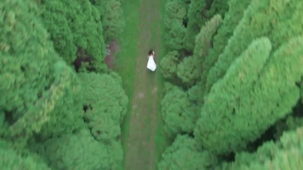 Vista aérea. 4k. Volar sobre la mujer en vestido largo blanco corriendo entre altos árboles verdes — Vídeos de Stock