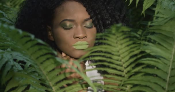 4kだ。速くゆっくりとした動き。緑の目と唇を持つ魅力的なアフリカ系アメリカ人女性がカメラにまっすぐに見え、エキゾチックな森の中に立って笑顔 — ストック動画