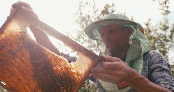 Concepto agrícola. Retrato del viejo apicultor en el velo del sombrero inspeccionando y sosteniendo el panal en el marco de madera. Cámara roja grabada. Imágenes de 4k. — Vídeo de stock