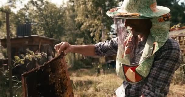 El viejo apicultor con velo de sombrero está inspeccionando el nido de abeja de las abejas. SHot en la cámara roja. Imágenes de 4k. — Vídeo de stock