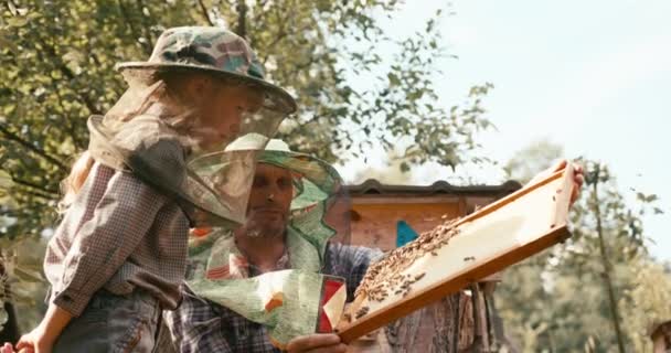 Agricultura y concepto familiar. El beekeper experimentado está mostrando el panal en el marco de madera a su pequeño hijo. Fotografía en cámara ROJA. — Vídeos de Stock