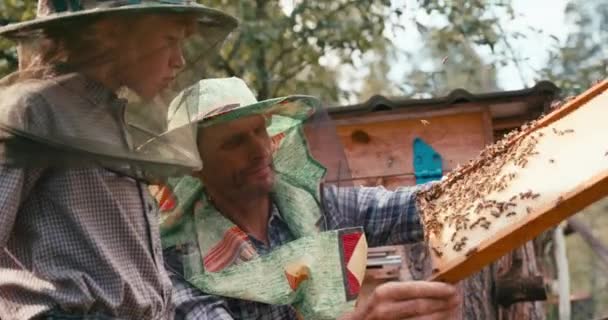 Cámara roja de la experiencia padre apicultor mostrando a su pequeño hijo el panal en el marco de madera lleno de abejas. Retrato lateral de primer plano. Imágenes de 4k. — Vídeo de stock