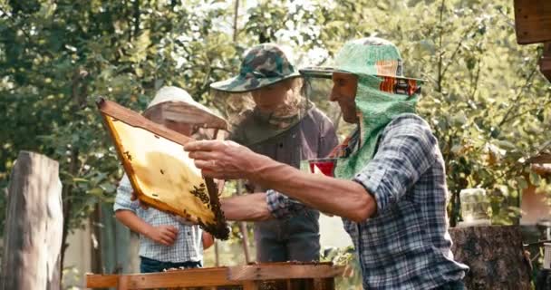 Praca zespołowa szczęśliwego ojca pszczelarza pokazująca plastry miodu na drewnianej ramie pełne pszczół dwóm małym synom. Koncepcja rodziny i rolnictwa. Zdjęcia z kamery czerwonej. — Wideo stockowe