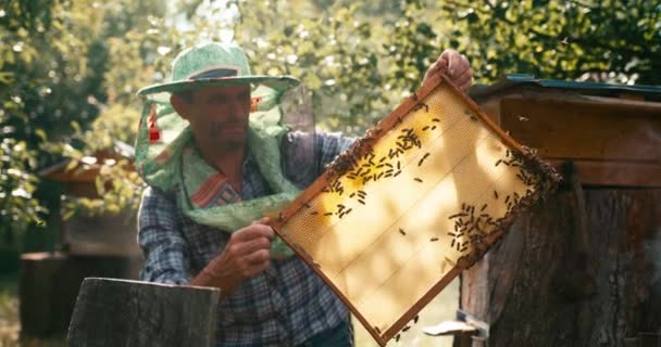 Agriculture concept. Old apiarist in hat veil is holding the honeycomb on the wooden frame in front of the bee smoker. 4k footage. RED camera shot. — Stock Video