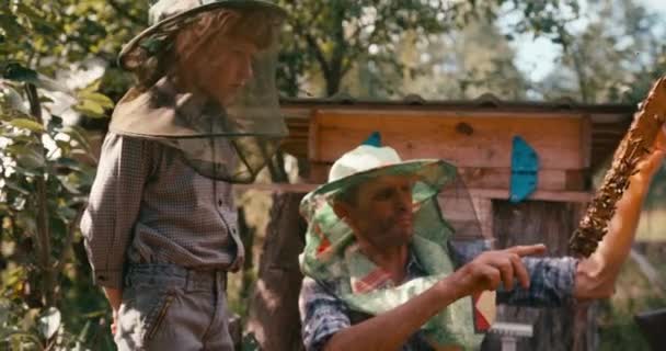 Familie concept van imkers. Vader met de honingraat op het houten frame vertelt zijn zoontje hoe hij op bijen moet passen. Opname van de rode camera. — Stockvideo