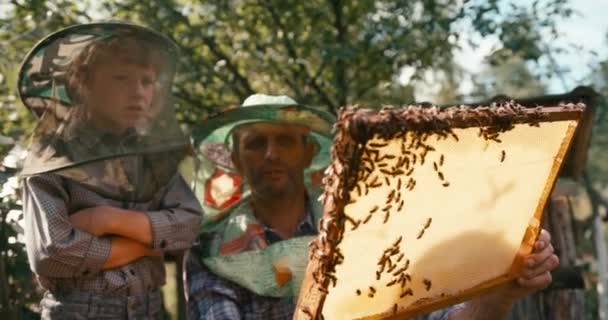 Trabajando juntos padre e hijo. El viejo beekeper está mostrando a su pequeño hijo el panal en el marco de madera. Grabado en la cámara ROJA. — Vídeos de Stock