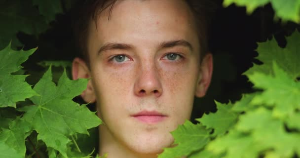 Ritratto ravvicinato dell'affascinante giovane hipster con lentiggini che guarda la macchina fotografica tra le foglie verdi dell'albero — Video Stock