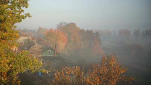 Sonbaharda kırsal bölgelerin hava görüntüleri. Güneşli ve sisli bir hava. Gündoğumunda ormanın olduğu köy. Yumuşak gün ışığı. Tahta evler, portakal ağaçları ve sisli orman. 4K video. — Stok video