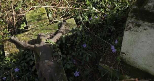 Chiudere pietra tombale rovinata. una lapide in rovina in un antico cimitero tedesco, coperto di muschio, giace a terra — Video Stock