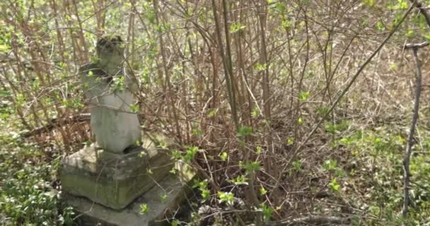 Una vieja tumba casi destruida en los matorrales de arbustos en el antiguo cementerio. Colonia alemana en Ucrania. — Vídeos de Stock