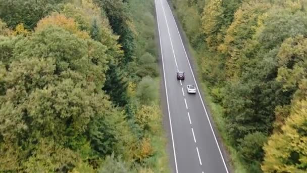 森に囲まれた道を走る車の上空を飛行します。道路上の白と黒のカール。 w — ストック動画