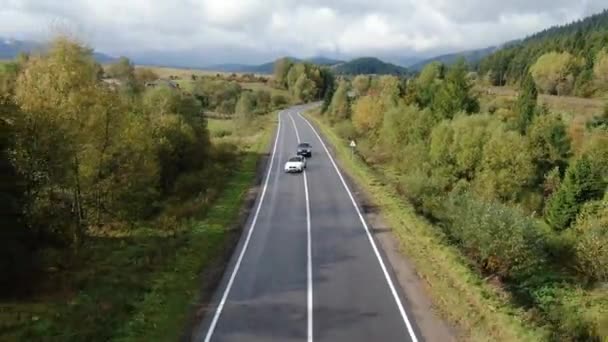 Białe i czarne kolorowe samochody jadące asfaltową drogą przez rozległy las w słoneczny letni dzień. Ludzie na relaksującej przejażdżce przez idylliczne lasy w malowniczej ukraińskiej wsi — Wideo stockowe