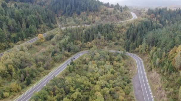 Aerial, top down samochody jazdy zygzakiem krętej drogi przez bujny gęsty las świerkowy na zboczu góry. Zakrzywiona autostrada zwrotna z spinką do włosów skręca wężykiem przez las. — Wideo stockowe