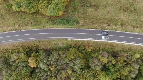 Vista dall'alto. sparare da un drone. due auto stanno guidando sulla strada tra la foresta. Una macchina in bianco e nero è sulla strada su entrambi i lati del quale è una foresta. Due auto guidano lungo due corsie di — Video Stock