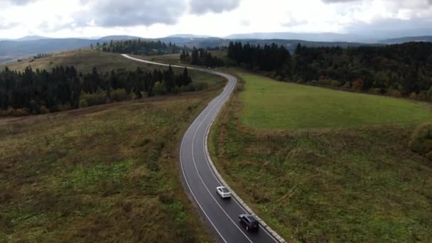 2台の車が山や森を背景に明確な道を走っています。白と黒の車。SUVとセダン。美しい自然。ドローンからの眺め. — ストック動画