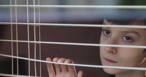 Мальчик смотрит в окно. Грустное дитя в карантине. Самоизоляция дома. Риск заражения. — стоковое видео