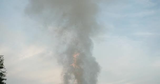 Fumul mare din foc se ridică pe cer . — Videoclip de stoc