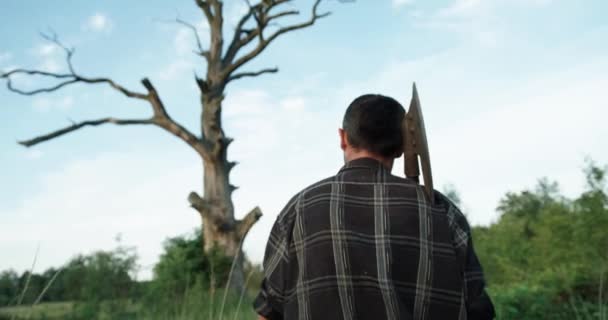 Tampilan belakang. seorang pria dalam kemeja dan jeans dengan kapak di bahunya pergi ke pohon kering di rumput hijau tinggi — Stok Video