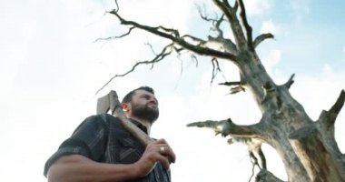 Omzunda baltası olan sakallı lembergjack ve yaşlı kuru ağaç. Güvenli ağaç.