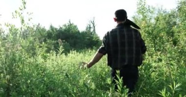 Dikiz aynası. Omzunda balta olan bir adam yaşlı kuru bir ağaca doğru yükselir. mavi güzel gökyüzü.