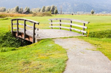 Yaz aylarında kırsal otlak