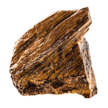 Beyaz Kaplan'ın göz