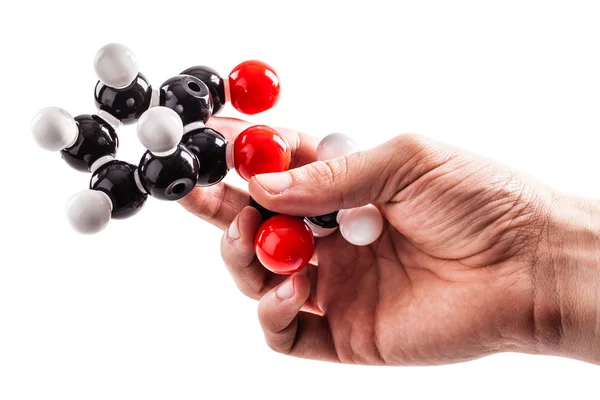 Holding a chemical structure model — Stock Photo, Image