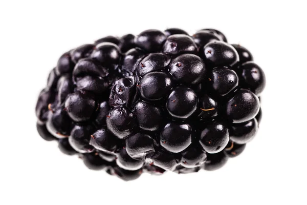 Duże blackberry na białym tle — Zdjęcie stockowe