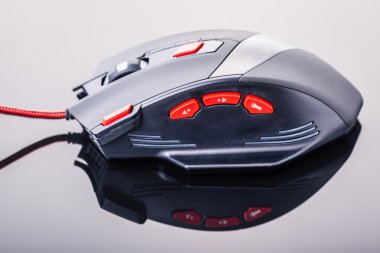 Hassas gaming fare