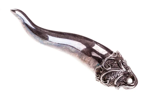 Silver little horn — Stock Photo, Image