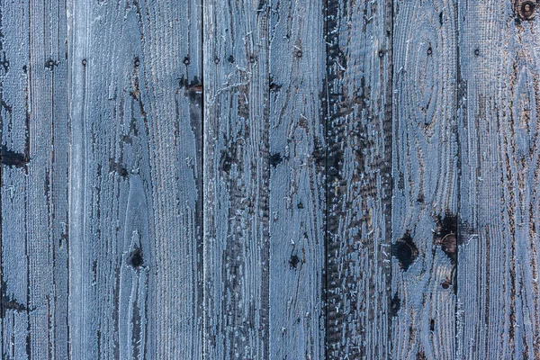 Frozen wood background — Stock Photo, Image