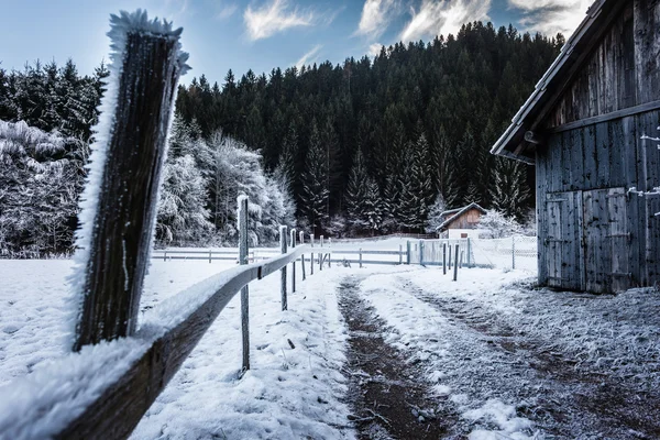 Buzlu çit — Stok fotoğraf