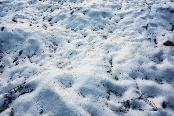 Сніг землі — стокове фото